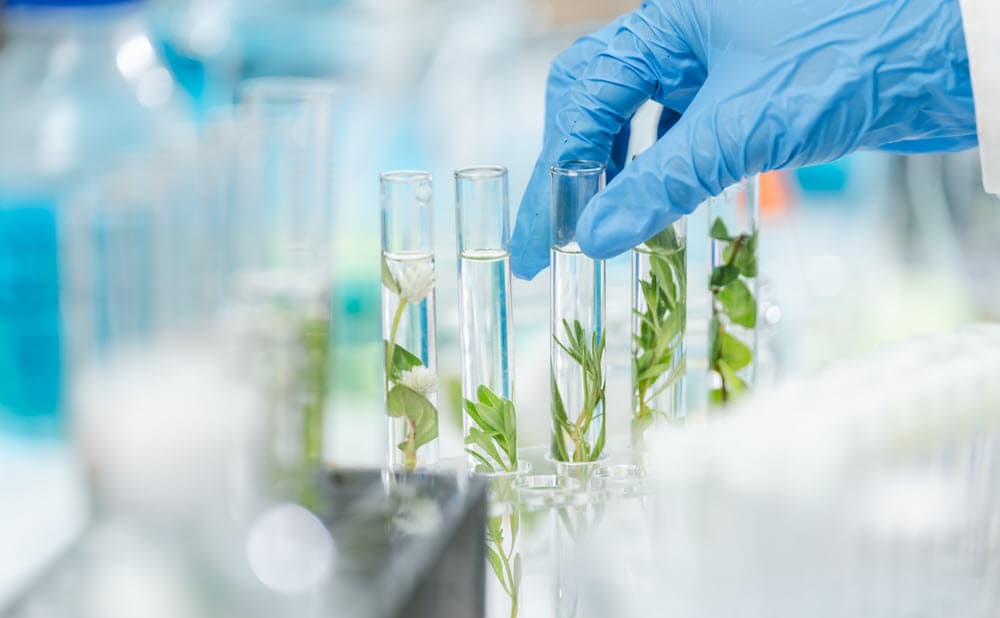 BioTech & Life Sciences Forum 2026 (EX-1)